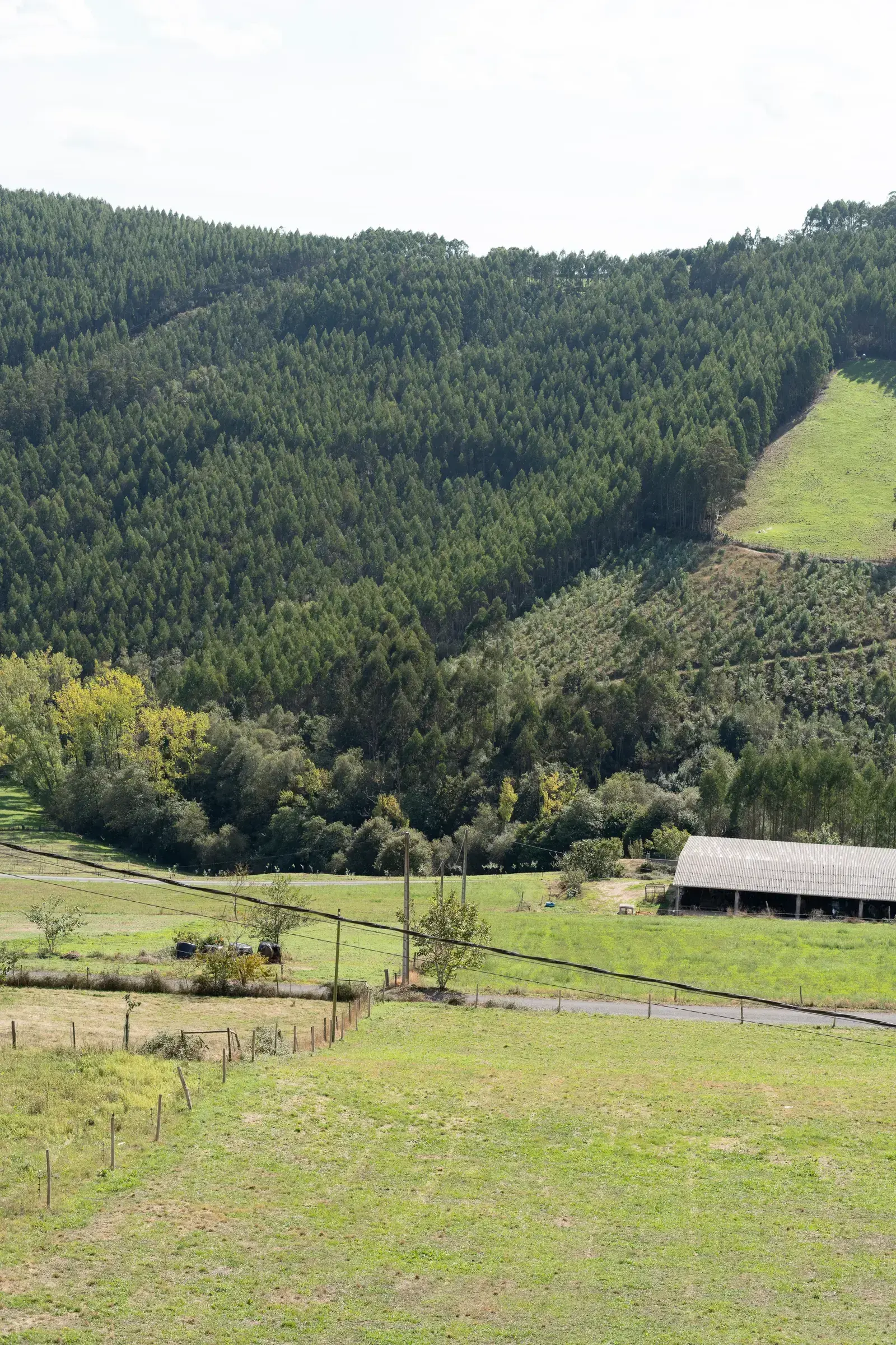 Valle